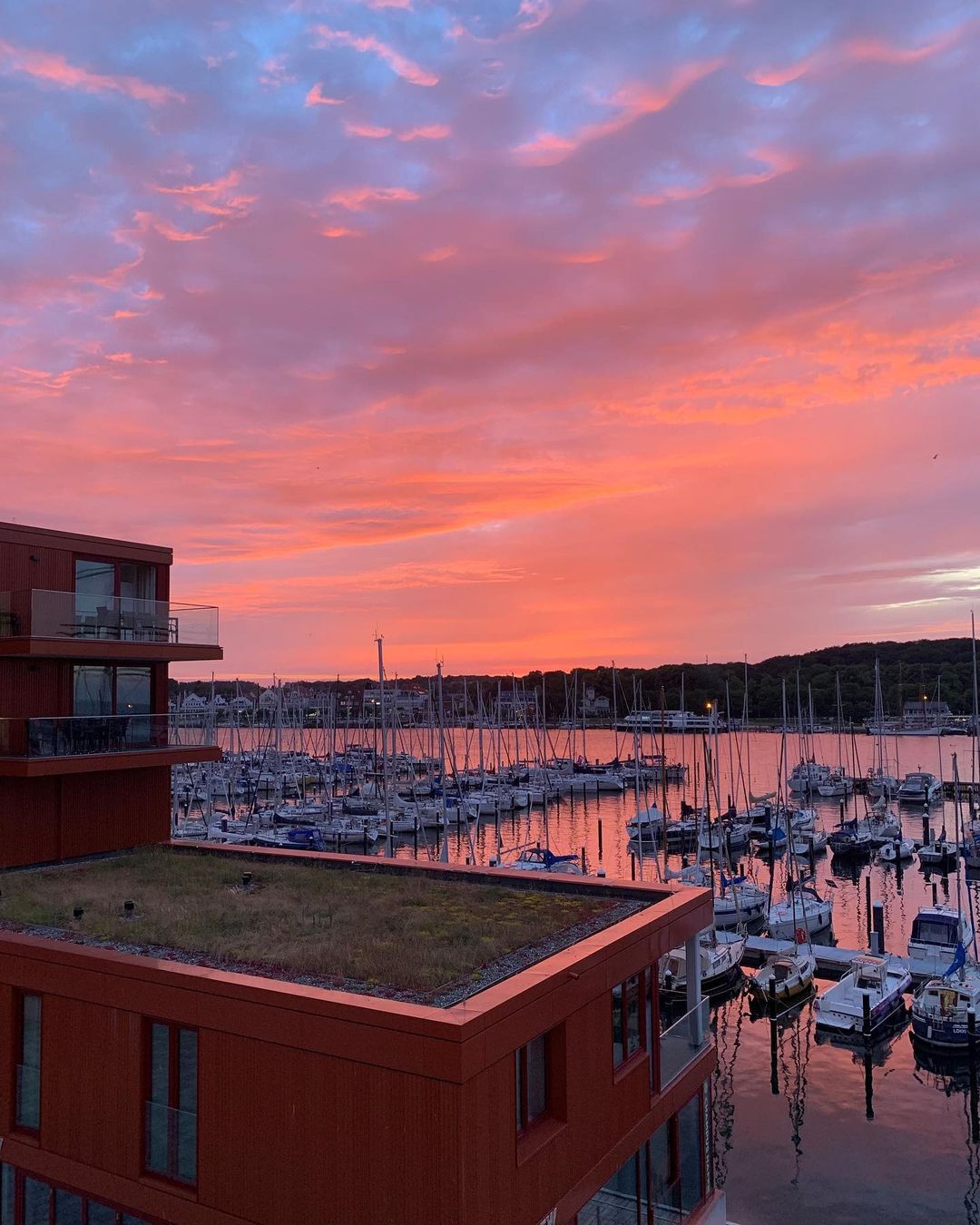 Snapinsta.app_459465331_490270397305569_181005267532969899_n_1080