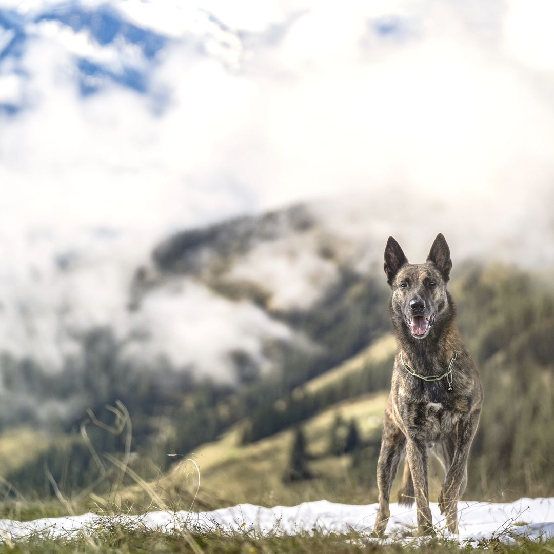 Snapinsta.app_459855995_1255702945431466_8757421299797497300_n_1080